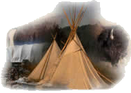 FCF Tipi